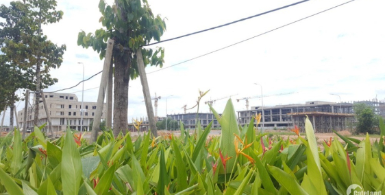 nhà có hợp đồng thuê ngay, KCN Mỹ Phước, Bình Dương, cạnh Đại Học qtế Việt Đức