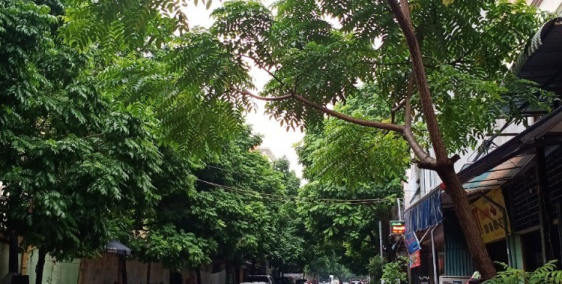 Cần tiền muốn bán gấp nhà ở khu đô thị xa la Hà Đông