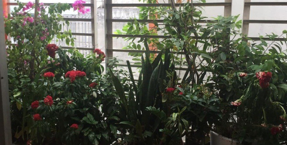 Bán gấp nhà riêng ở ngõ 219 Định Công Thượng – Hoàng Mai.