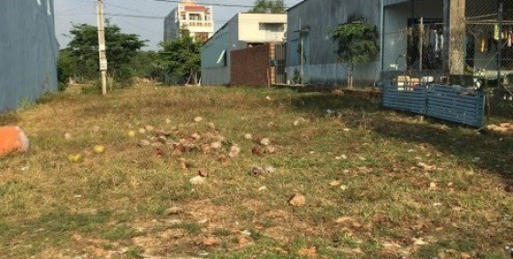 Đất chính chủ cần bán gấp trong tết mặt tiền QL22 giá chỉ 729tr/160m2