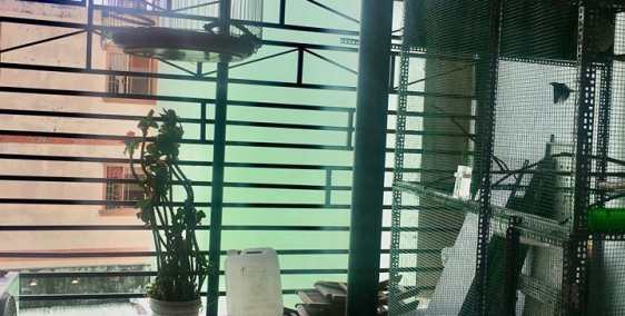 Săn ngay nhà quận 10 đẳng cấp bậc nhất HCM, 44m2, giá thấp 6.499 tỷ.