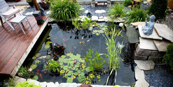 Tôi cần bán gấp căn nhà 1 trệt 2 lầu đường Hùng Vương phường Phước Hưng.