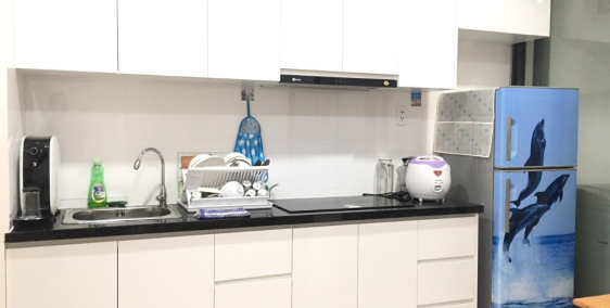 Cho thuê căn hộ 1PN full nội thất giá rẻ ngay Mai Chí Thọ.