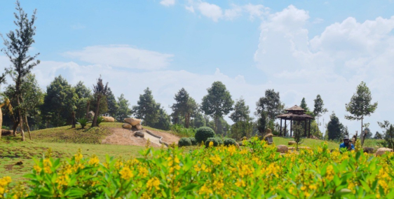 Chính thức mở bán Stella Mega City