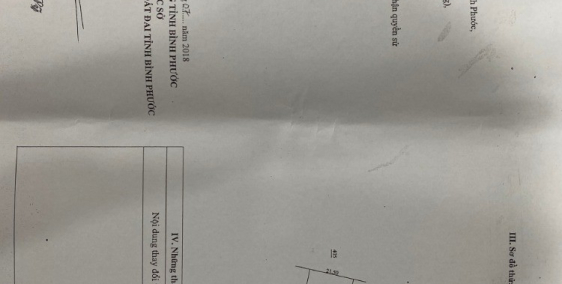 Chỉ 350tr có ngay 1 lô 1000m Đại Nam, sổ hồng riêng, cách QL13 1km