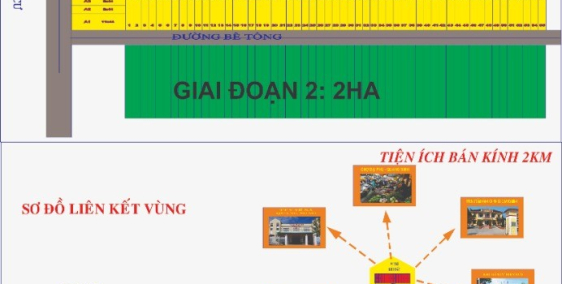 thông tin khẩn dành cho người mua bán bất động sản năm 2020