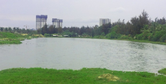 CHUẨN BỊ MỞ BÁN DỰ ÁN" COCO NEW STAR" ĐẤT NỀN VEN SÔNG CỔ CÒ