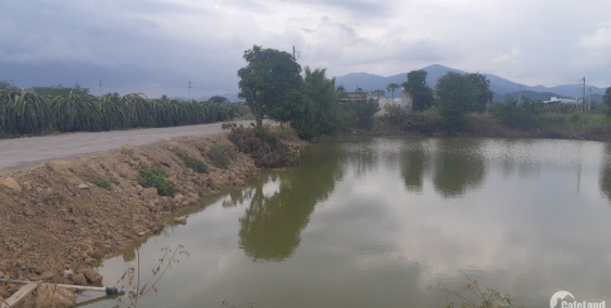 PHONG PHÚ GARDEN - NƠI NGHĨ DƯỠNG LÍ TƯỞNG CHO MỌI NHÀ