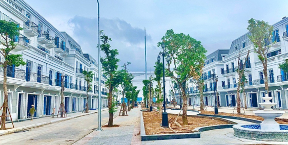 Săn ngay lô đất nền liền kề Vincom Plaza đẳng cấp bậc nhất Cẩm Phả