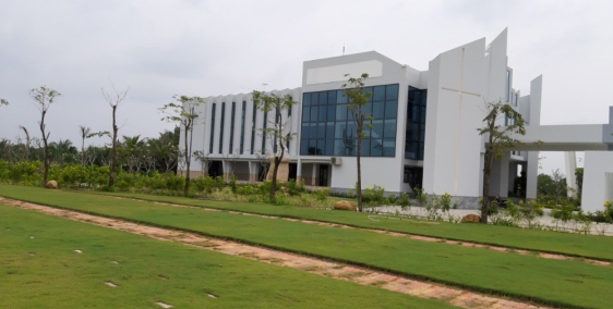 Đất Đầu Tư Cần Giuộc Long An Giáp TP.HCM Chỉ 100Tr, Tỷ Suất Sinh Lời Cao