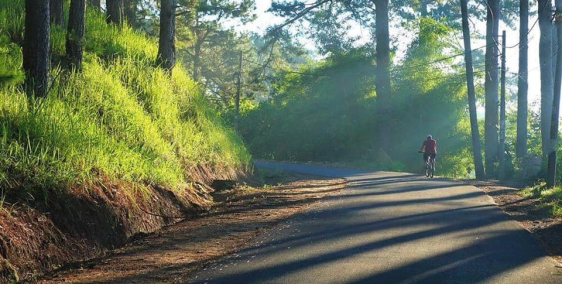 Cần bán Đất Yết Kiêu- Phường 5- Tp.Đà Lạt.