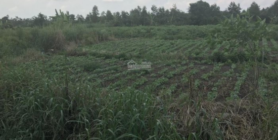 Cần Bán Nhanh Mảnh Vườn 1.200m2 Xã Suối Nho Định Quán.