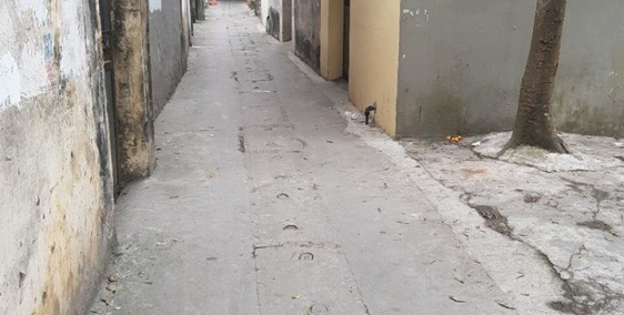 Mảnh đất duy nhất tại Trâu Qùy giá 800 triệu.