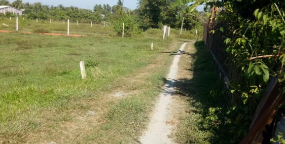 Cơ hội cho nhà đầu tư, chỉ 425 triệu có ngay 5x40m, sau trường Mẫu Giáo Xóm Mới