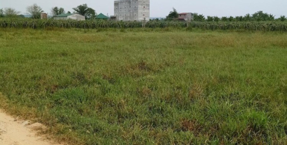 Bán gấp đaat hàm chính rẻ ( trả nợ)