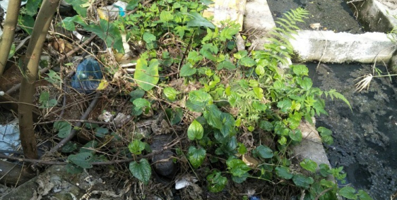 Bán nhanh 40m2 đất kim chung giá 750tr hướng đông nam