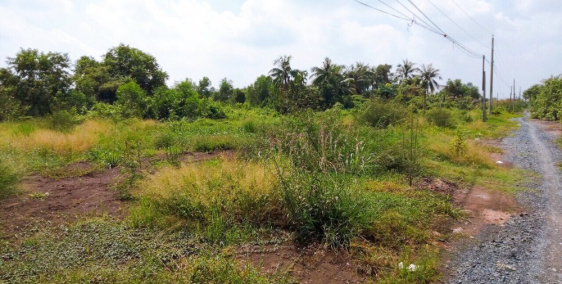 Đất dân ký gửi bán dùm ra đi gấp vì cần tiền