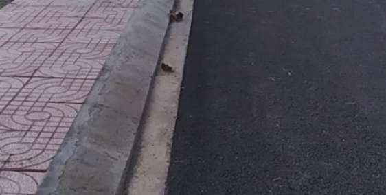 Bán gấp đất mặt tiền lê Văn Khương. Ngay Đông Thạnh-Hóc Môn