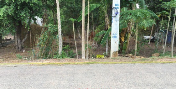 Cần Tiền Trả Nợ Cho Con Bán Lô Đất 805m2 Thổ Cư MT Nguyễn Thị Rành Gần QL22