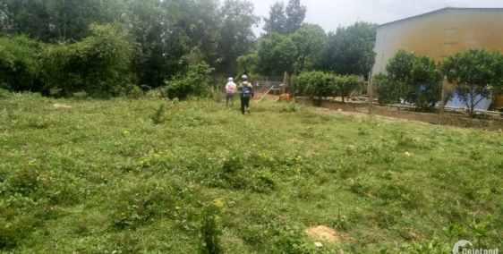 Bán đất đường Cây Trôm Mỹ Khánh,Củ Chi,diện tích 141m2 giá 880 triệu.