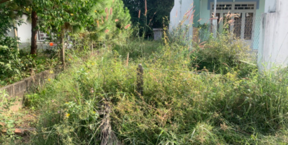 Lô đất rẻ cho những ai đang định mua đất xã tân thạnh tây