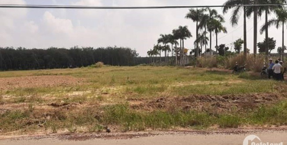 Bán mảnh đất 829m2 đường Nguyễn Thị Rành – Củ Chi chỉ 2 tỷ 830 .