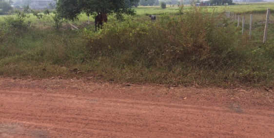 Đất thổ cư Nguyễn Thị Rành, DT 20x50m2, SHR chính chủ, 2 tỷ 5