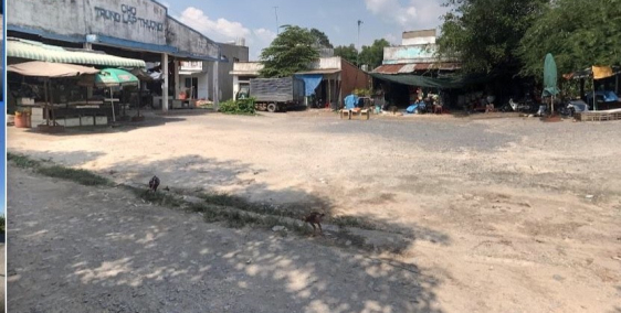 Củ chi   gần chợ Trung Lập Thượng 500m2 cần bán gấp  1 tỷ 420 triệu đồng  phút