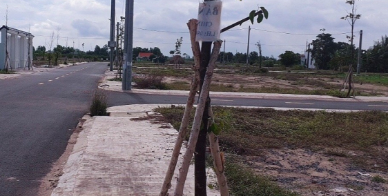 Đất nền Hóc Môn, ấp Tam Đông xã Thới Tam Thôn, shr