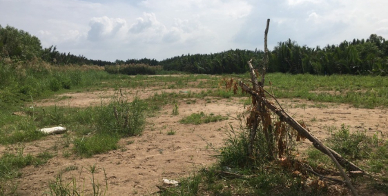 Bán 2550m2 đất, ngay trung tâm xã, cách mt nguyễn văn tạo 350m shr giá 2,05 tỉ