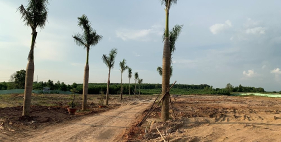 Bán đất nền Đồng Nai, giá rẻ gần sân bay Long Thành. Lh:0382333675