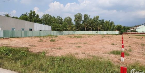 :Đất Nhơn Trạch- Mặt tiền đường Phạm Thái Bường ( đường rộng 40m)