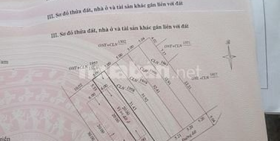 Đất Tam Xuân 1, Núi Thành, Quảng Nam chính chủ chưa qua đầu tư 380tr