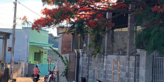 Đất đẹp vuôn vắn ngay trung tâm Mũi NÉ SHR chủ cân bán gấp giá cực rẻ!