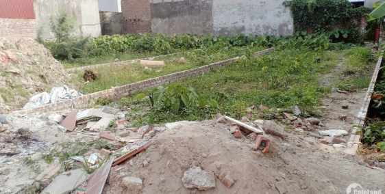 bán đất Mai Đình Sóc Sơn gần chợ thái phù ô tô vào đất giá 12tr/m2