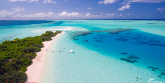 Đất biển giá tốt nhất thị trường PHÚ YÊN!