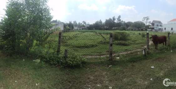 Đất nền TP. Tân An, có SHR, 210m2