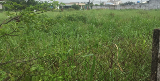 Đất nền thổ cư TP. Tân An 85m2