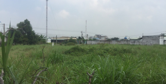 Bán đất thổ cư SHR diện tích 90m2