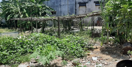 CẦN TIỀN BÁN GẤP ĐẤT TRƯỜNG CHINH GIÁ RẺ