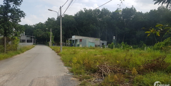 Kẹt tiền cần bán gấp lô đất chính chủ, sổ sẵn tại Định Hòa
