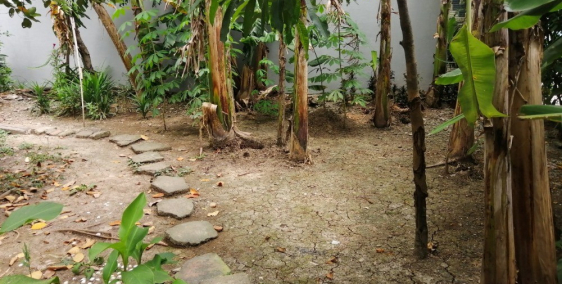 Kẹt tiền cần bán gấp đất thổ cư, xe hơi chạy tới đất, cách Ql1A 50m