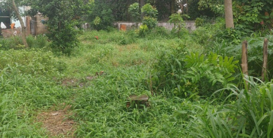 Bán gấp đất nhà 518m2 SHR,Thủ Khoa Huân,Thuận An. 8,5 triệu/m2.liên hệ chính chủ