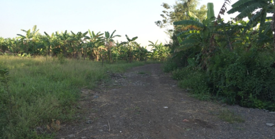 Hãy nhanh tay nắm bắt cơ hội vì cơ hội đến với mình chỉ có 1