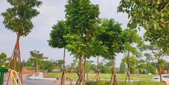 CẦN BÁN LÔ ĐẤT CHÍNH CHỦ SỔ ĐỎ NGAY ECOPARK LH 0971 567 893