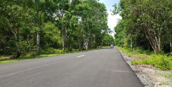 Mở bán 10 lô đất Hot nhất mặt tiền quốc lộ 55 cạnh Safari 600ha Novaland