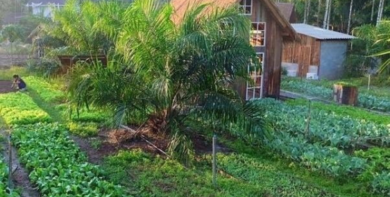 PHONG PHÚ GARDEN - KHU NGHĨ DƯỠNG CHO MỌI NHÀ