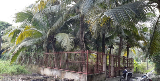 Bán 524m2 đất Nhị Bình giá tốt mở rộng đường rất đẹp mua là lời