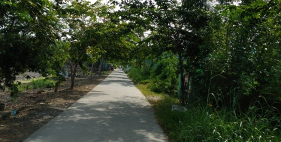 Cần tiền nên bán gấp 532m2 đất vườn Nhà Bè, shr, giá chỉ 720tr.