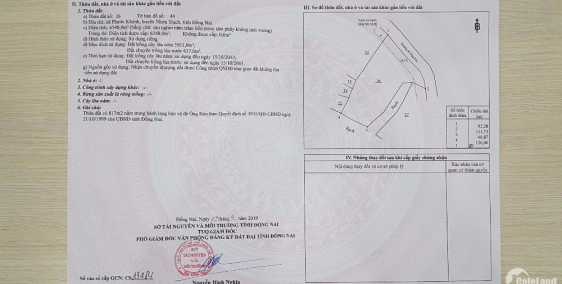 6548m2 đất cây lâu năm, đầu tư lướt sóng nhanh hơn lướt web